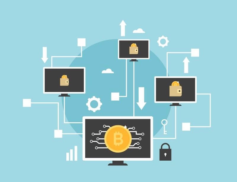 سلاسل توريد الأمونيا