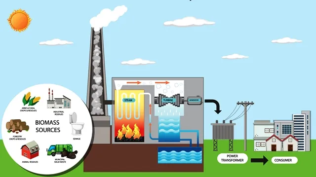 تحويل الكتلة الحيوية لمصدر طاقة مستدام