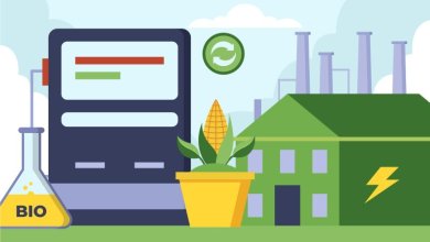 وقود الأمونيا