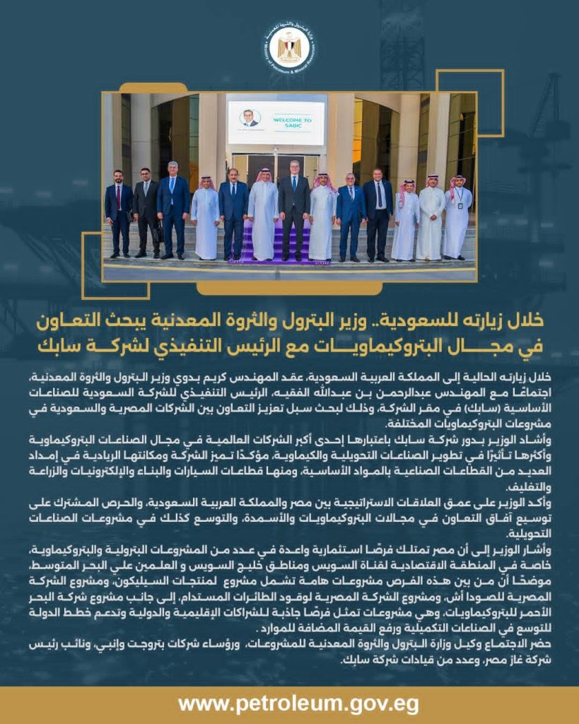 مجال البتروكيماويات