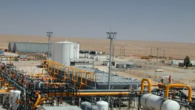 مجلس الوزراء يسلط الضوء على النتائج المتميزة لشركة عجيبة للبترول