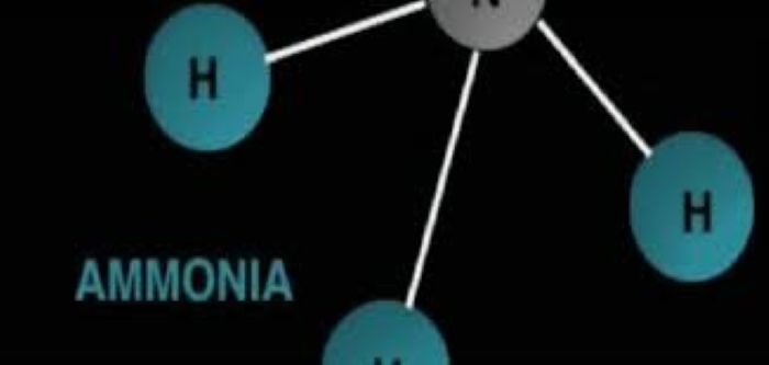 مخاطر تسرب الأمونيا