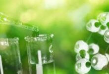 الأمونيا منخفضة الكربون