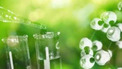 الأمونيا منخفضة الكربون