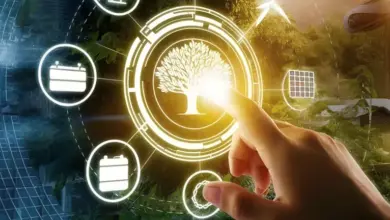 التحول الرقمي في مجمعات تكنولوجيا البتروكيماويات