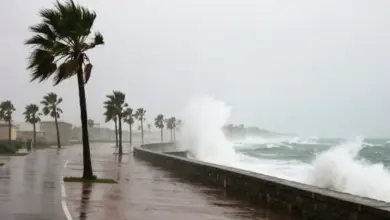 طقس شديد البرودة يضرب البلاد بدءًا من الغد