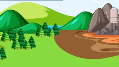 الغاز الحيوي