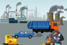 الغاز الحيوي والطاقة المتجددة في البترول