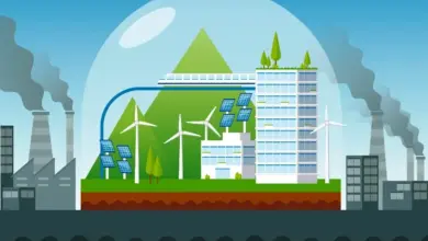 الغاز الحيوي والطاقة النظيفة للمصانع