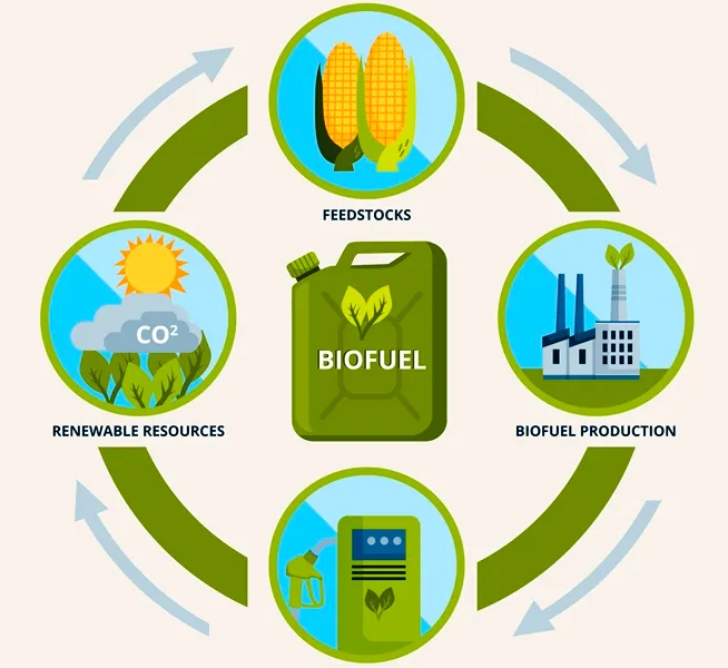 الغاز الحيوي والطاقة النظيفة للمصانع