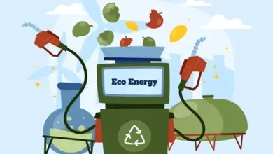 الغاز الحيوي وتحويل المخلفات الصناعية إلى طاقة