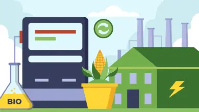 الغاز الحيوي وتحسين كفاءة الطاقة