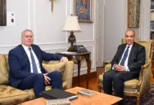 وزيرا البترول والخارجية يبحثان تعزيز التعاون لترسيخ مكانة مصر كمركز إقليمي للطاقة
