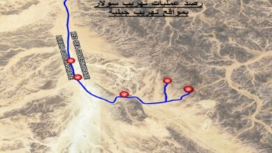 هيئة البترول تعلن نتائج الرقابة الدورية على منظومة نقل وتوزيع الوقود