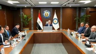 وزير البترول يستقبل وفد «شينج فا» ويبحث فرص الشراكة في الصناعات التعدينية