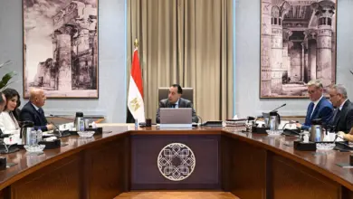 رئيس الوزراء يستعرض جهود تعظيم الاستفادة من الخامات التعدينية والمحجرية في مصر