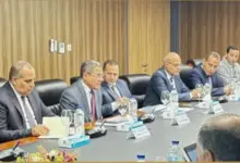 الشركة الفرعونية