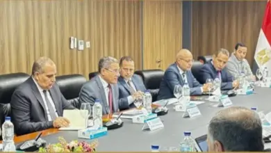 الشركة الفرعونية