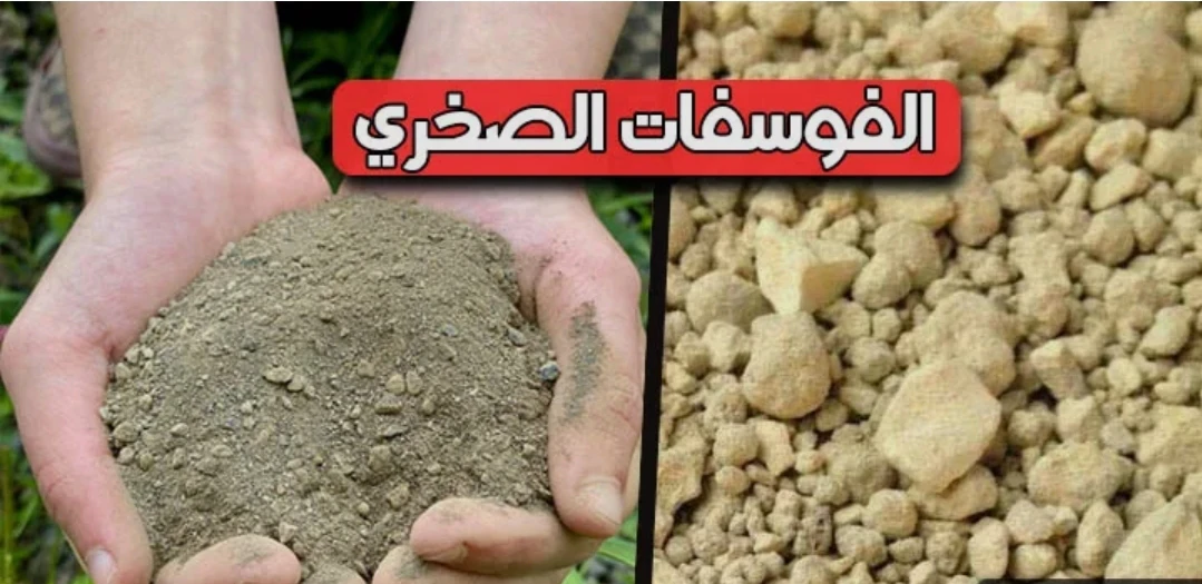 الدول الكبرى المصدرة للفوسفات 