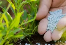 الدول الكبرى المصدرة للفوسفات