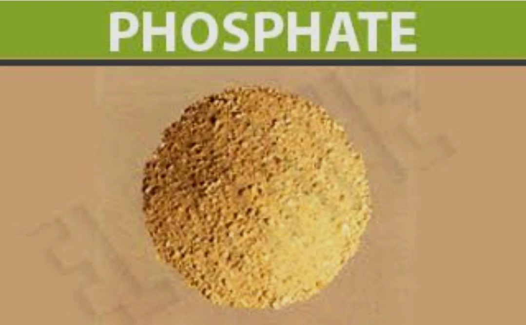 الدول الكبرى المصدرة للفوسفات 