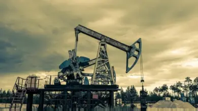 الشركة العامة للبترول تستضيف ورشة لتطوير الأداء البيئي بمشاركة 20 شركة