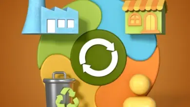 تقنيات إعادة التدوير في صناعة البتروكيماويات