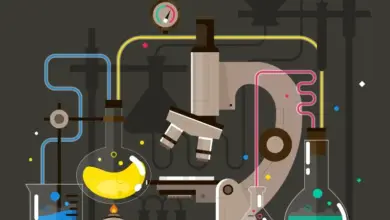 أتمتة تكنولوجيا البتروكيماويات