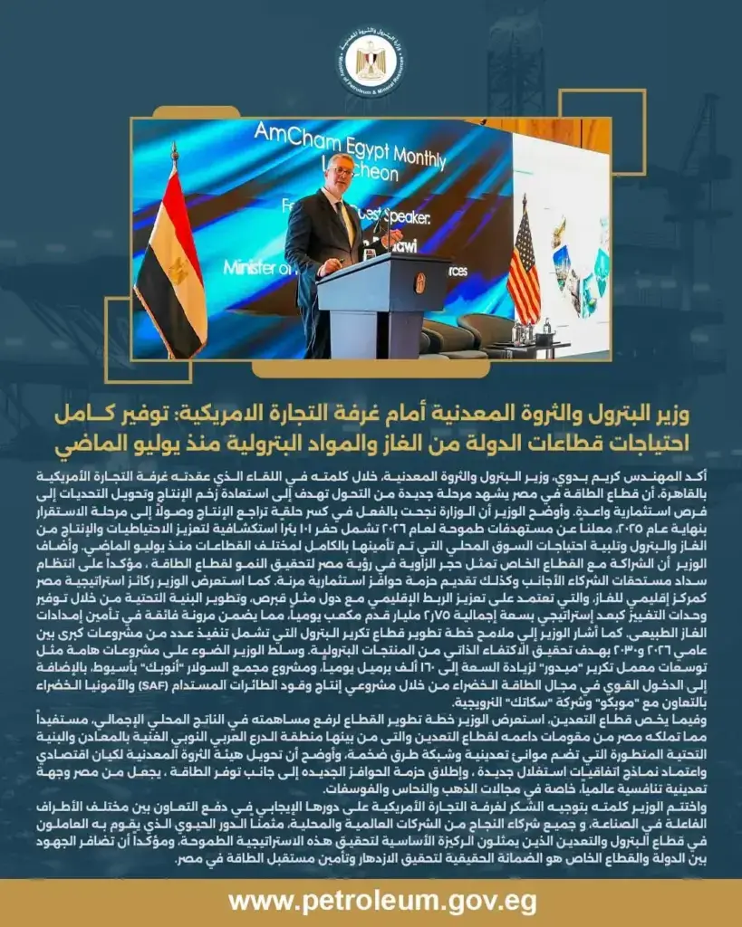 المواد البترولية 