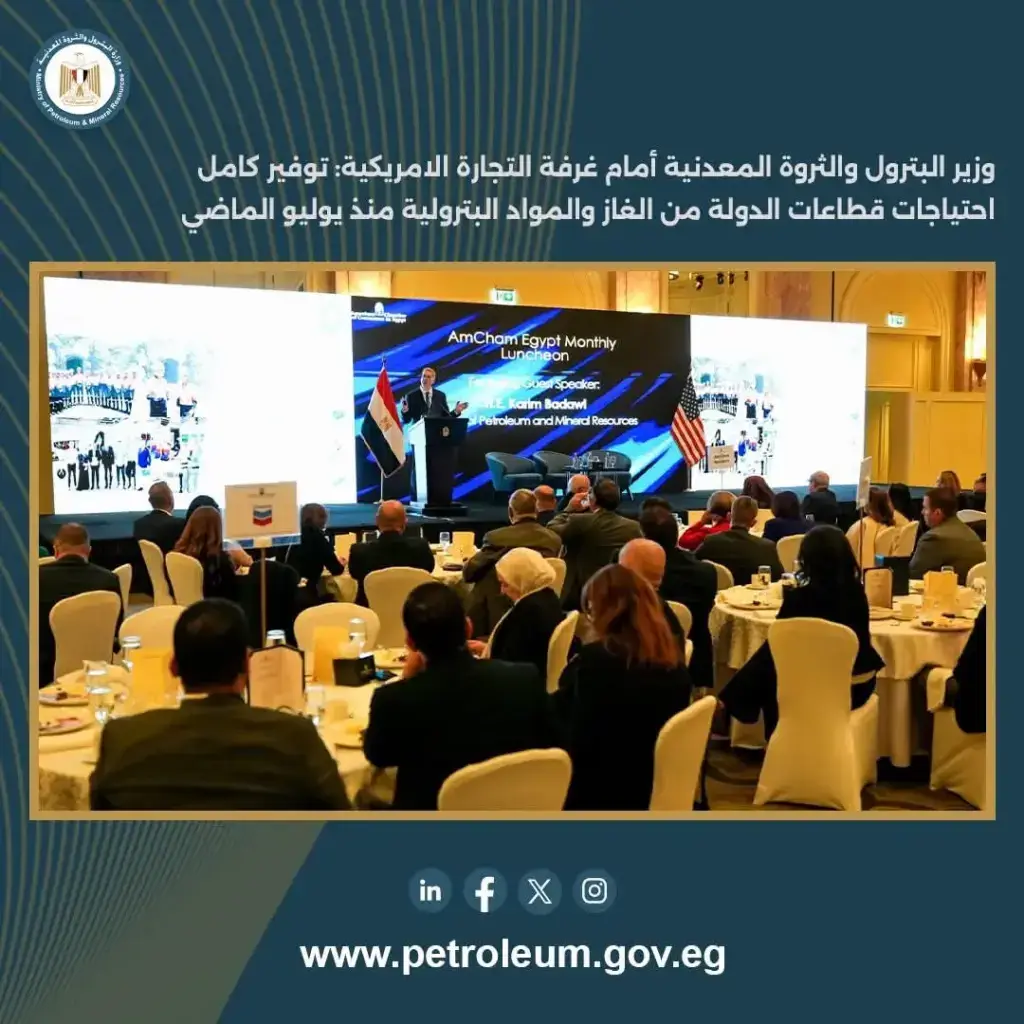 المواد البترولية 