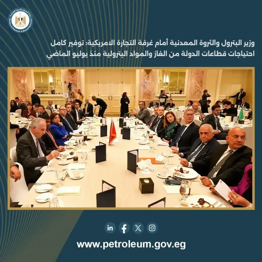 المواد البترولية 