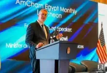 المواد البترولية