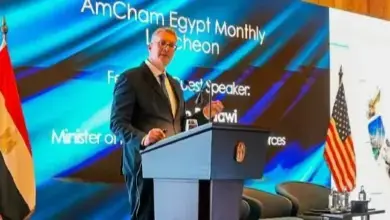 المواد البترولية