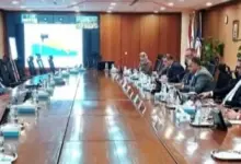 شمال سيناء للبترول