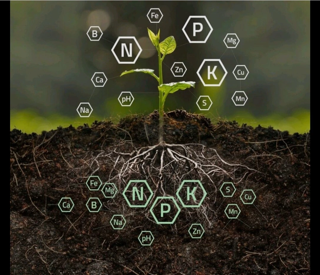 خصائص خام الفوسفات 