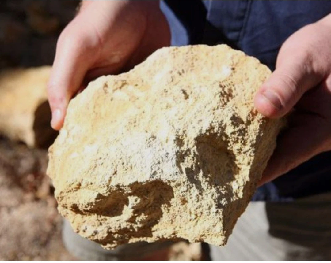 أنواع خام الفوسفات 