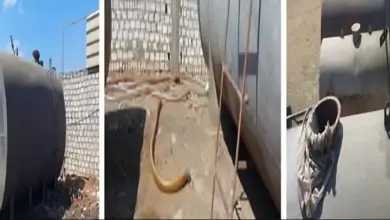 هيئة البترول تكثف الحملات الرقابية على المنتجات البترولية والبوتاجاز بجميع المحافظات