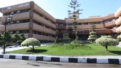 تاون جاس تشارك في إيجبس 2026