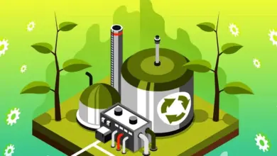 مستقبل تجارة البتروكيماويات في ظل التحول الطاقي