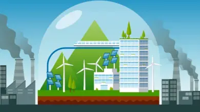 المشروعات الجديدة وتأثيرها على أسواق البتروكيماويات