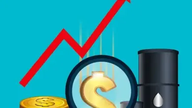 الاستثمارات في أسواق البتروكيماويات