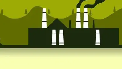 تطورات أسواق البتروكيماويات