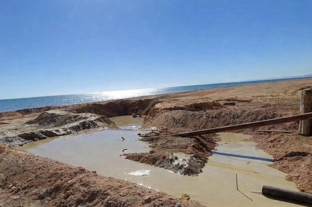 خدمات البترول البحرية 