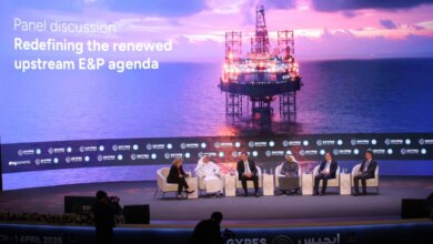 الإنتاج الهيدروكربوني