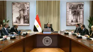 وزير البترول يستعرض استعدادات قطاع الطاقة لمواجهة تداعيات التصعيد الإقليمي باجتماع رئيس الوزراء