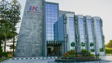 البتروكيماويات المصرية