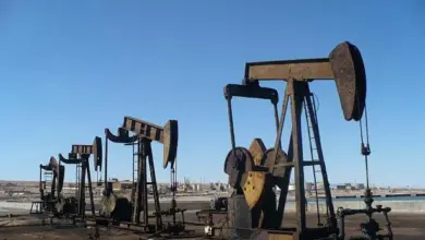 تنمية للبترول تشارك في إيجبس 2026