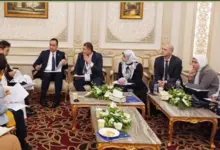 تعزيز التعاون بين البترول و«جايكا» لدعم كفاءة الطاقة والتحول الطاقي في مصر