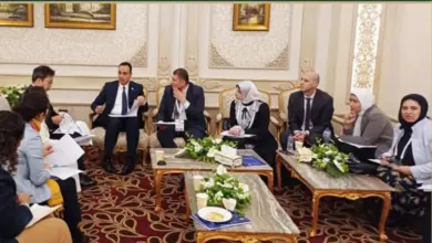 تعزيز التعاون بين البترول و«جايكا» لدعم كفاءة الطاقة والتحول الطاقي في مصر