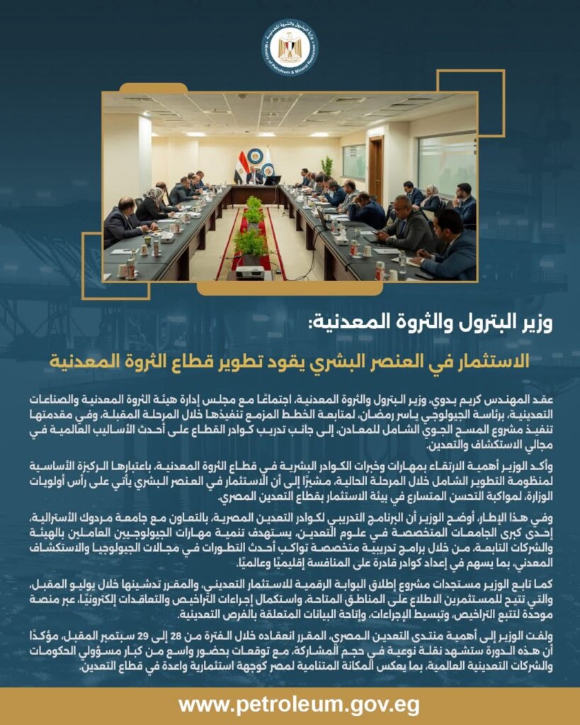 الثروة المعدنية